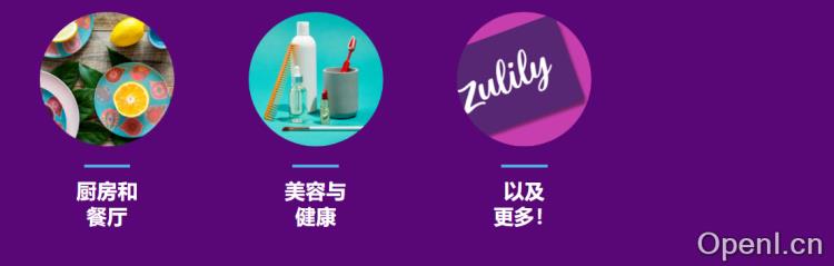 Zulily 美国