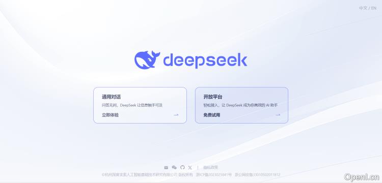 DeepSeek