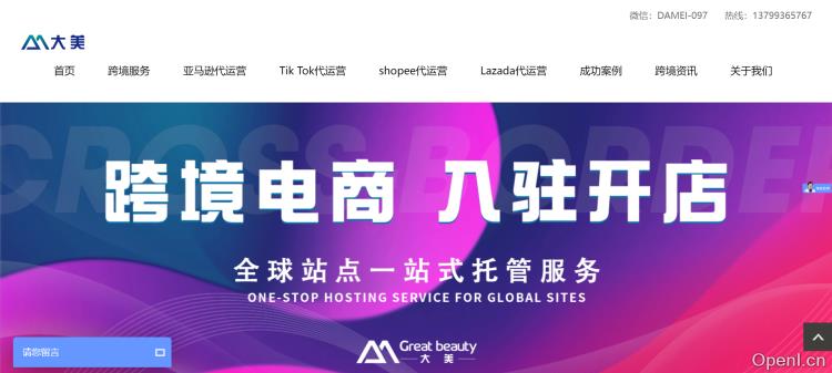 大美电商
