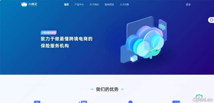 小棉花跨境保险服务
