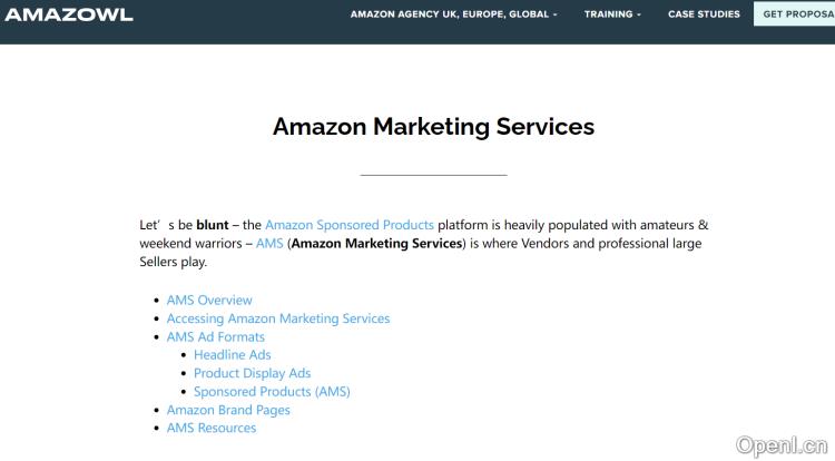 Amazowl 营销服务