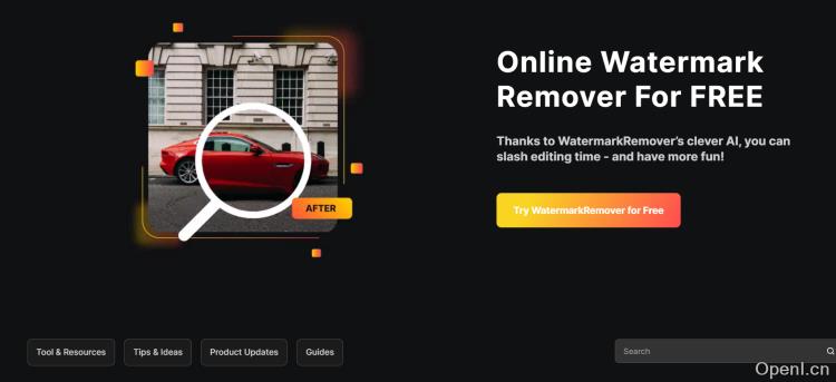 WatermarkRemover.io