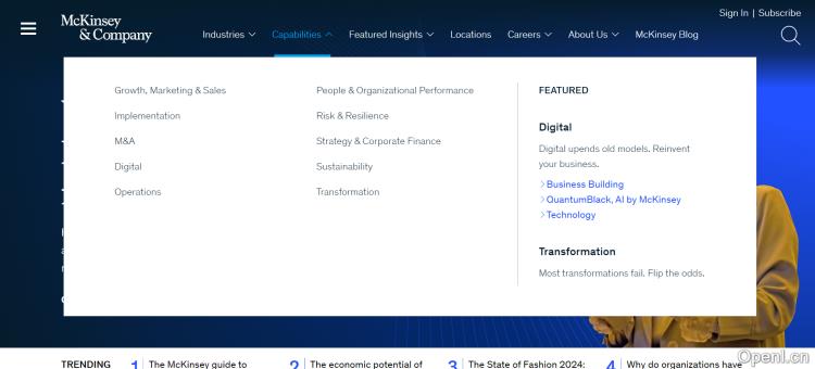 McKinsey - 麦肯锡