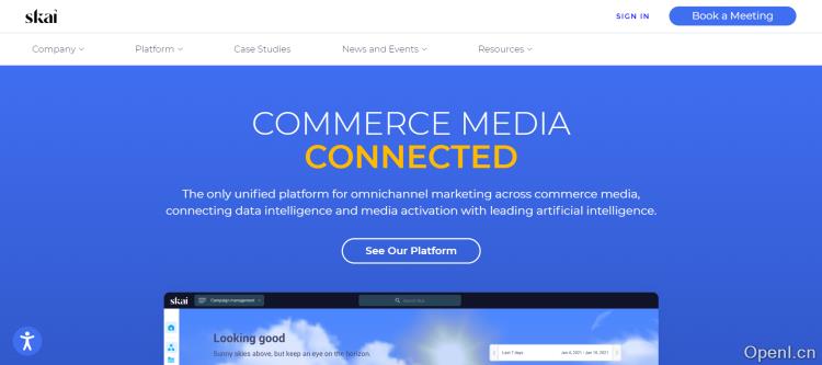 Skai广告自动化工具